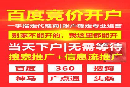 揭秘SEM竞价托管：实战案例深度解析